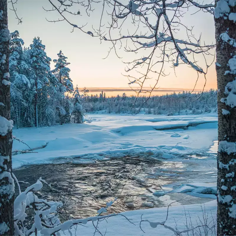 Pokka Reindeer Meat Company — Pokka production & facilities in Rovaniemi