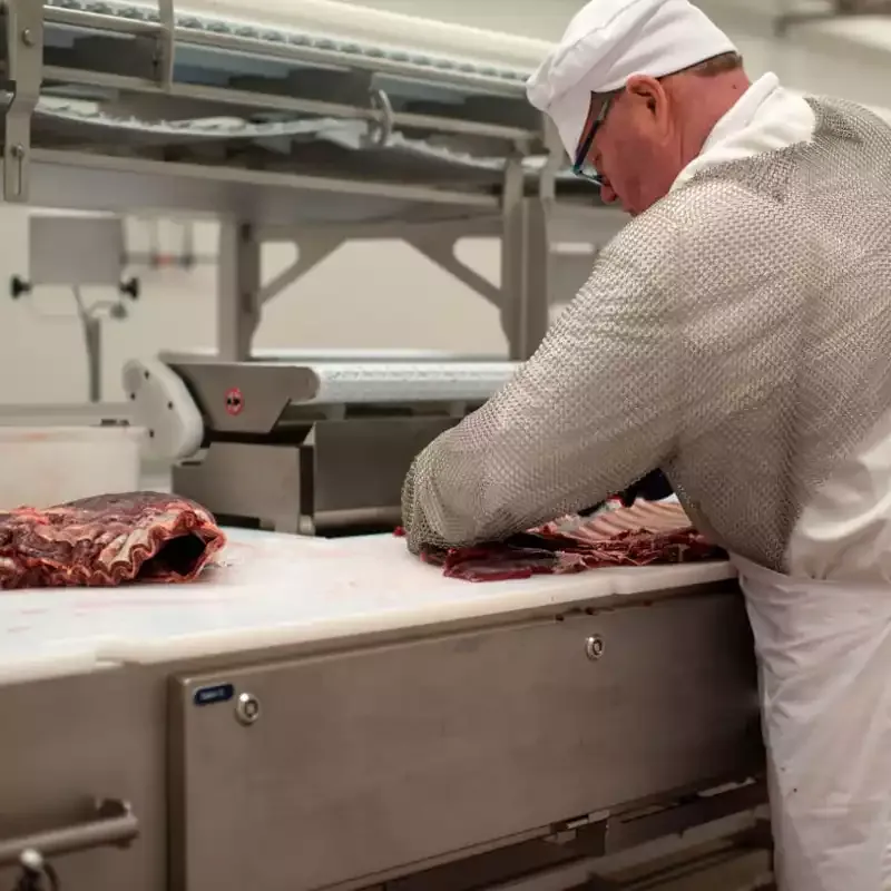 Pokka Reindeer Meat Company — Pokka production & facilities in Rovaniemi